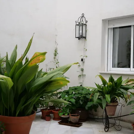 Apartamento Daoiz *
